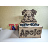 Comedero mascota grande