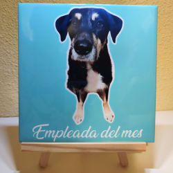 Azulejo Personalizado